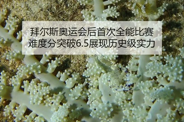 拜尔斯奥运会后首次全能比赛 难度分突破6.5展现历史级实力