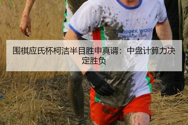 wei-qi-ying-shi-bei-ke-jie-ban-mu-sheng-shen-zhen-xu-zhong-pan-ji-suan-li-jue-ding-sheng-fu-2-807.jpg